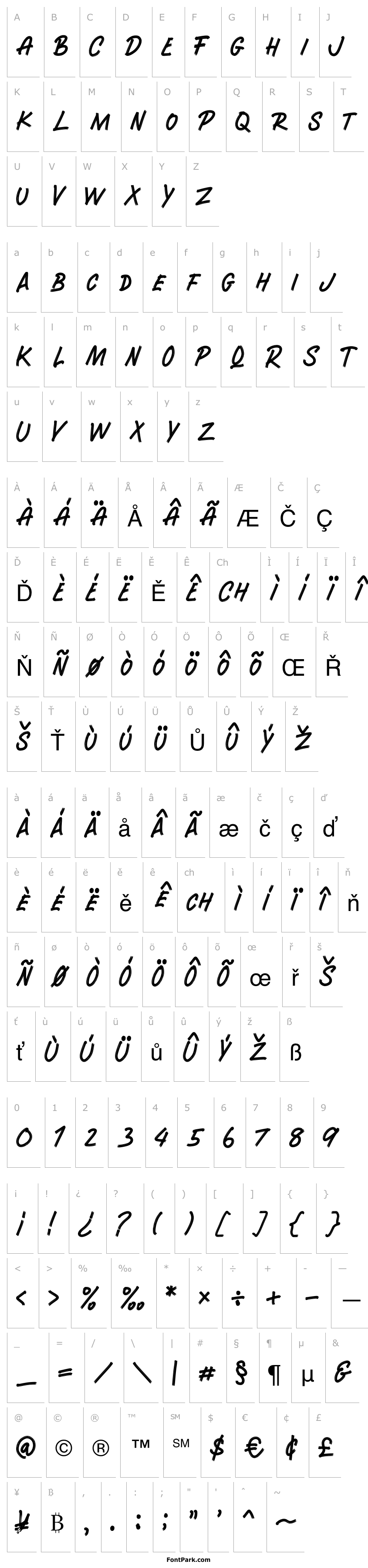 Přehled RUNWAYBRUSH