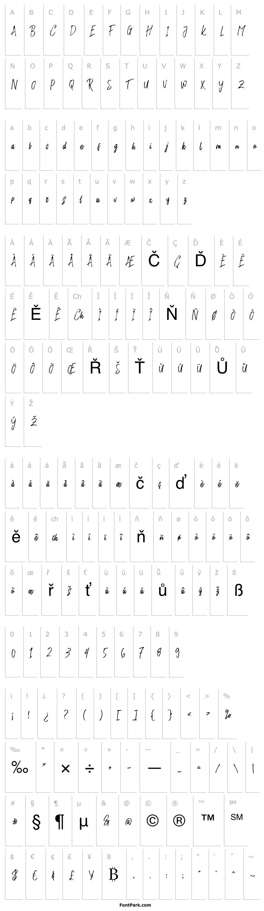 Přehled RushtardBrush-Regular