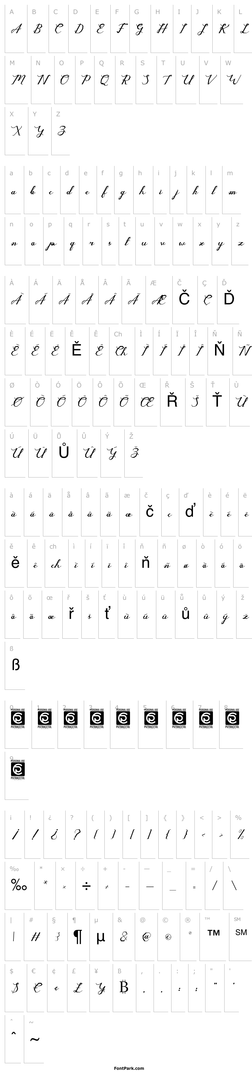 Overview Rygid