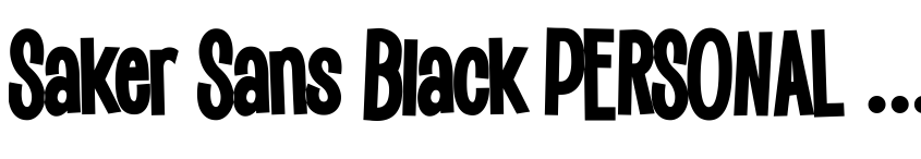 Preview Saker Sans Black PERSONAL USE