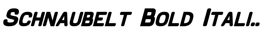 Preview Schnaubelt Bold Italic