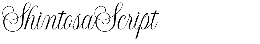 Preview ShintosaScript