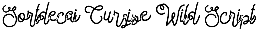 Preview Sortdecai Cursive Wild Script