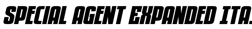 Preview Special Agent Expanded Italic