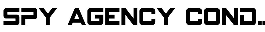 Preview Spy Agency Condensed