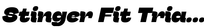 Preview Stinger Fit Trial Heavy Italic