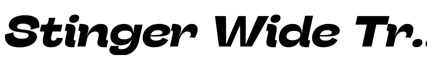 Preview Stinger Wide Trial Bold Italic