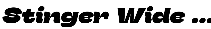 Preview Stinger Wide Trial Heavy Italic