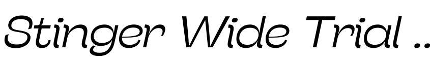 Preview Stinger Wide Trial Light Italic