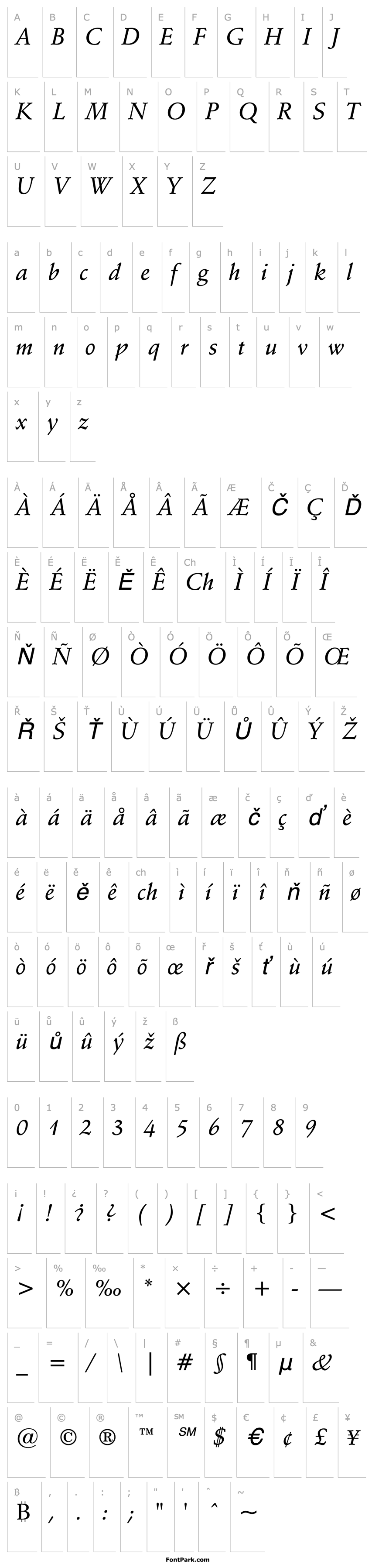 Overview SchneidlerBT-MediumItalic