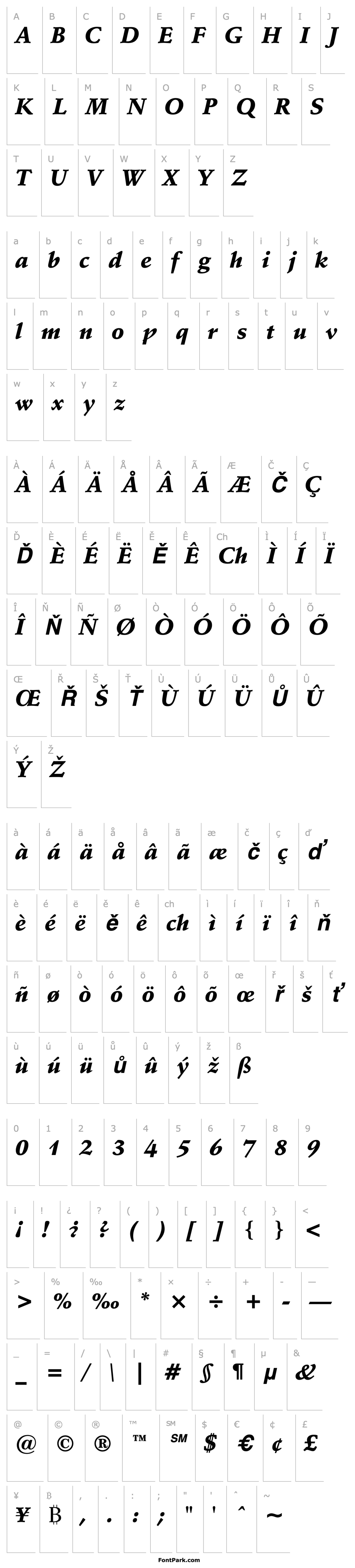 Overview SchneidlerBT-BlackItalic