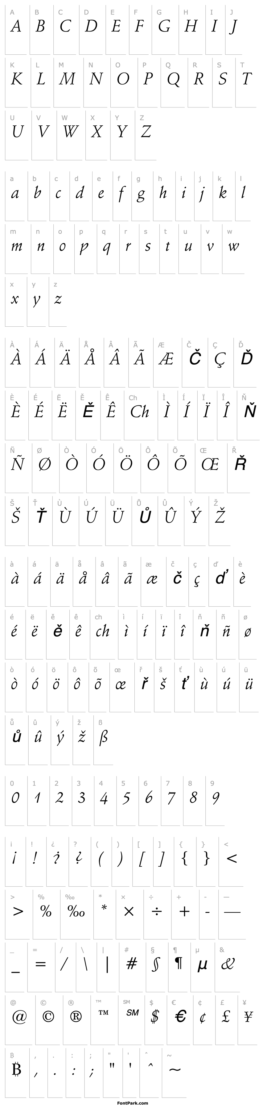 Overview SchneidlerBT-Italic