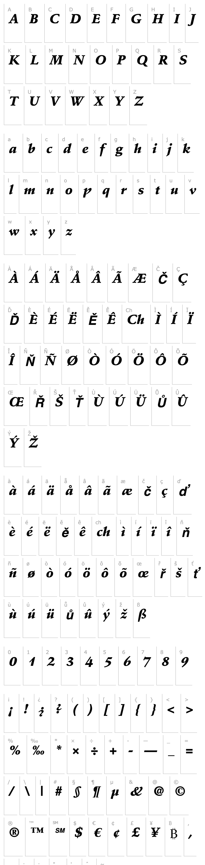 Overview StempelSchneidler-BlackItalic