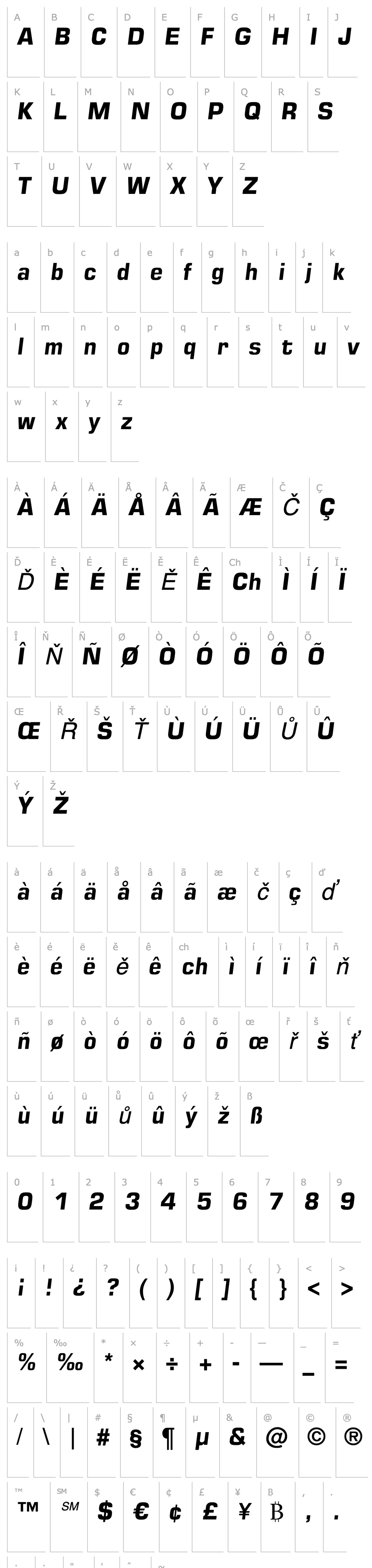 Overview Square721 Dm Italic