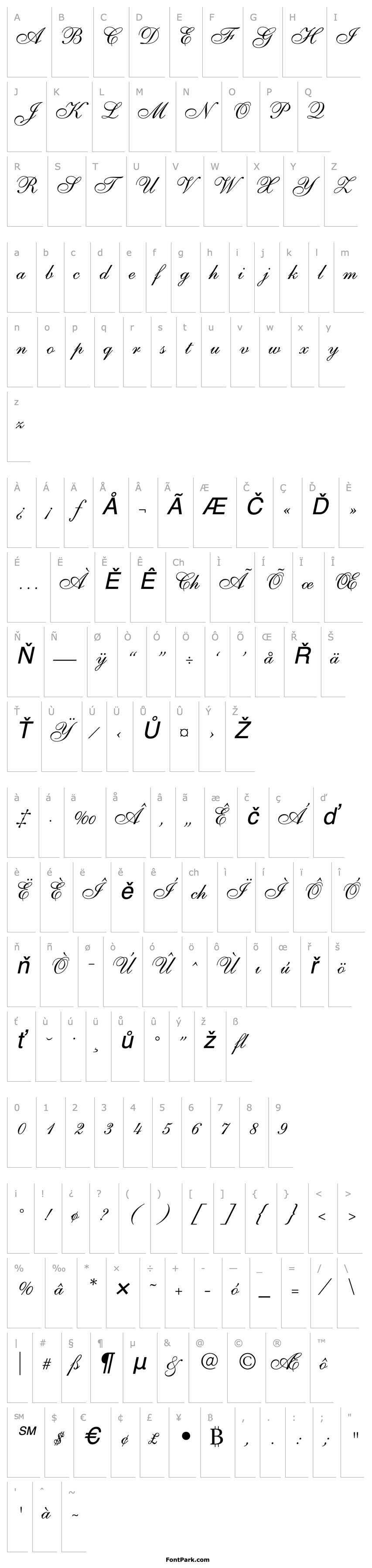 Overview Shelley Allegro Script