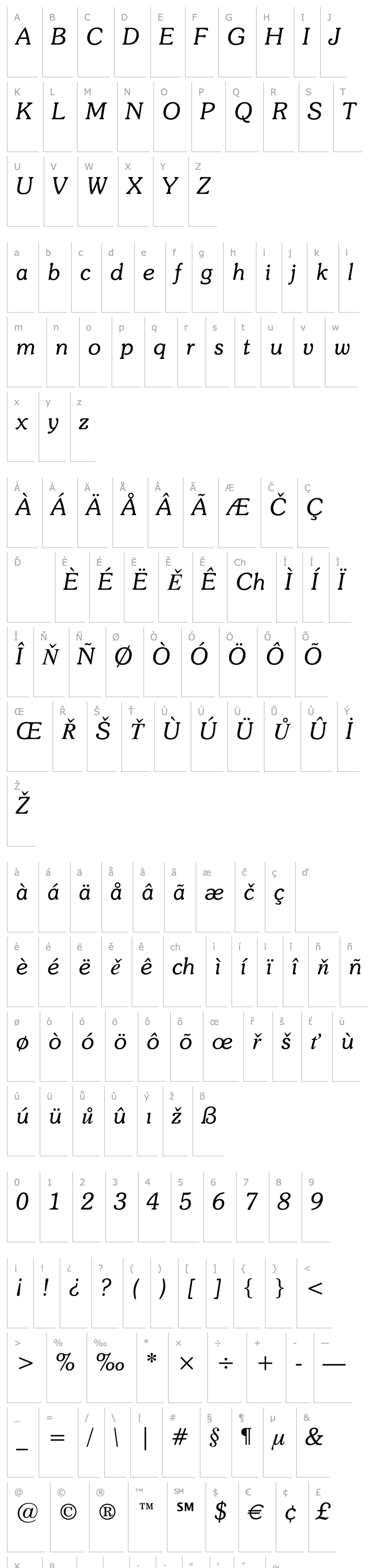 Overview Souvenir Light Italic BT