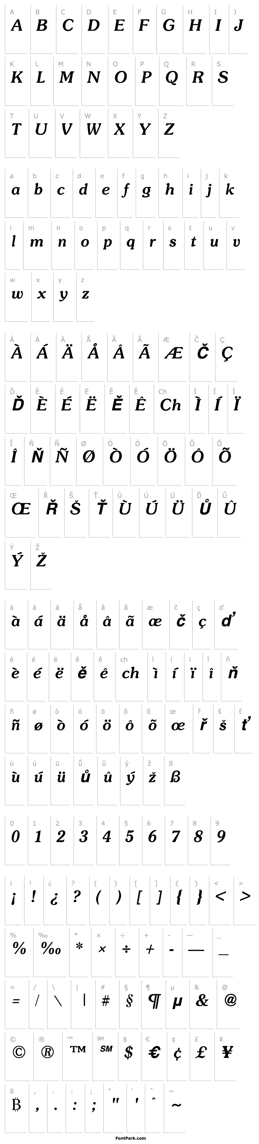 Overview Soutane Bold Italic