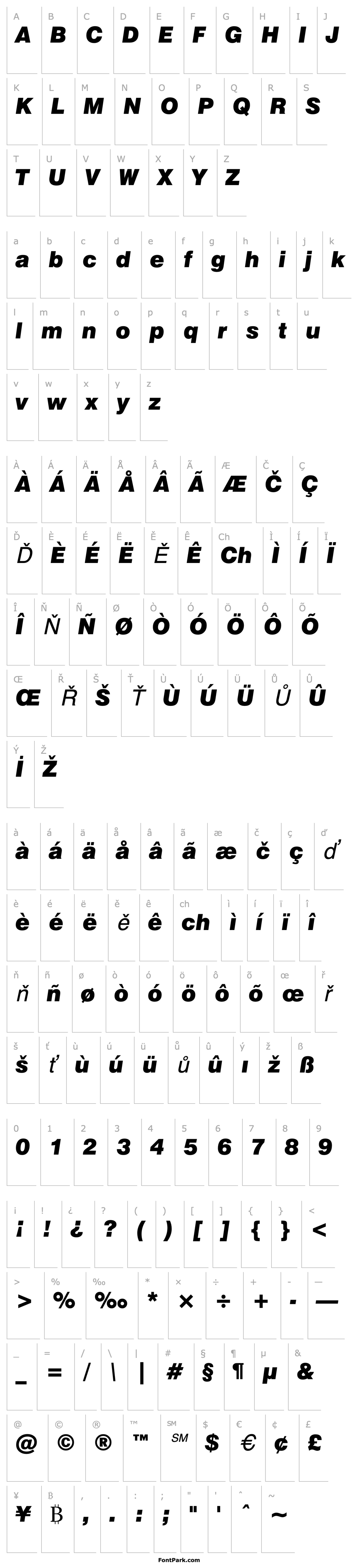 Overview Swiss 721 Black Italic BT