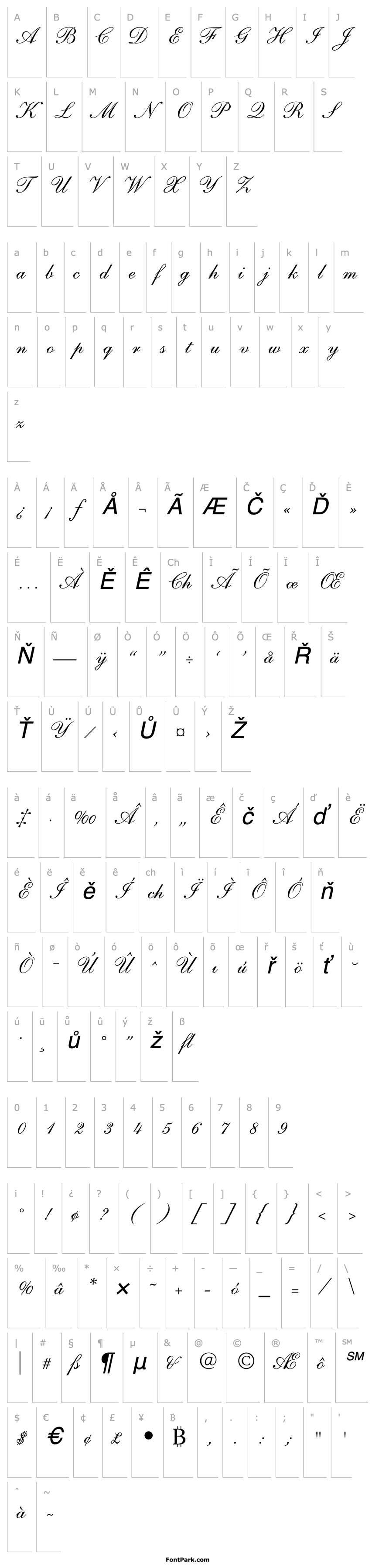 Přehled Shelley Andante Script