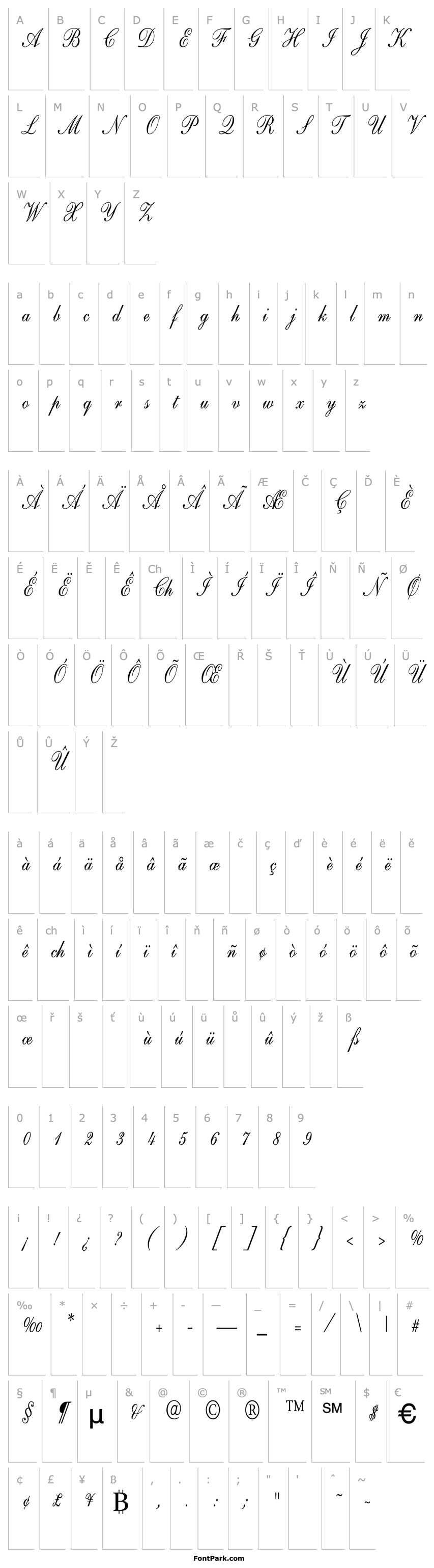 Overview Shelley-AndanteScript Cn