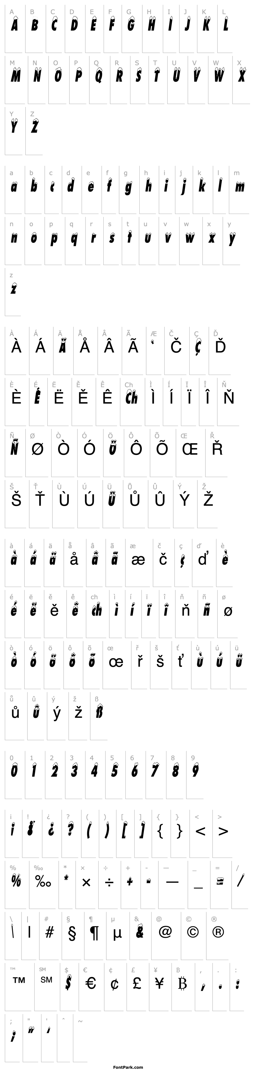 Overview NeigeCondensed