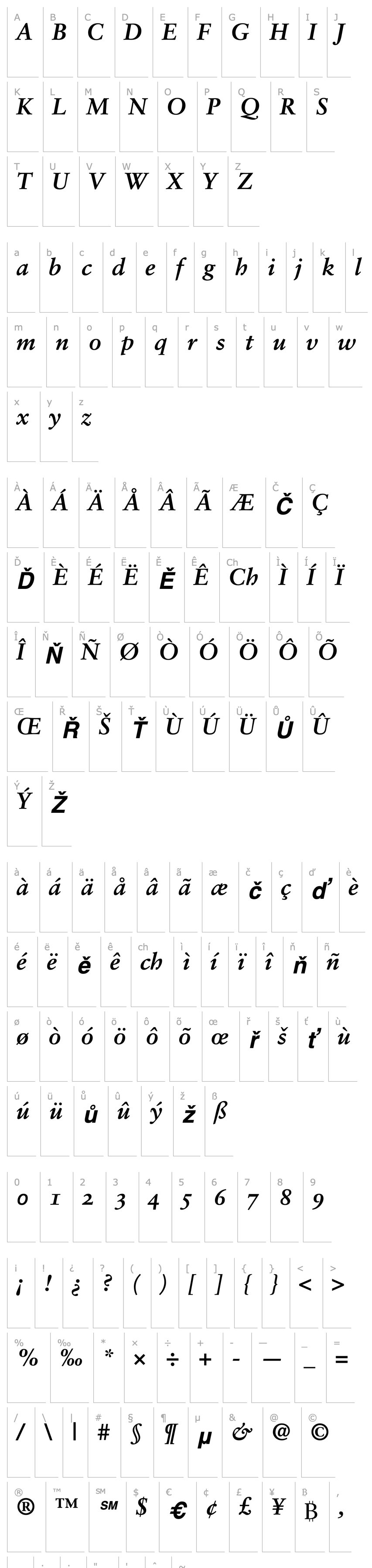 Přehled SabonOldstyleFigures-Bold Italic