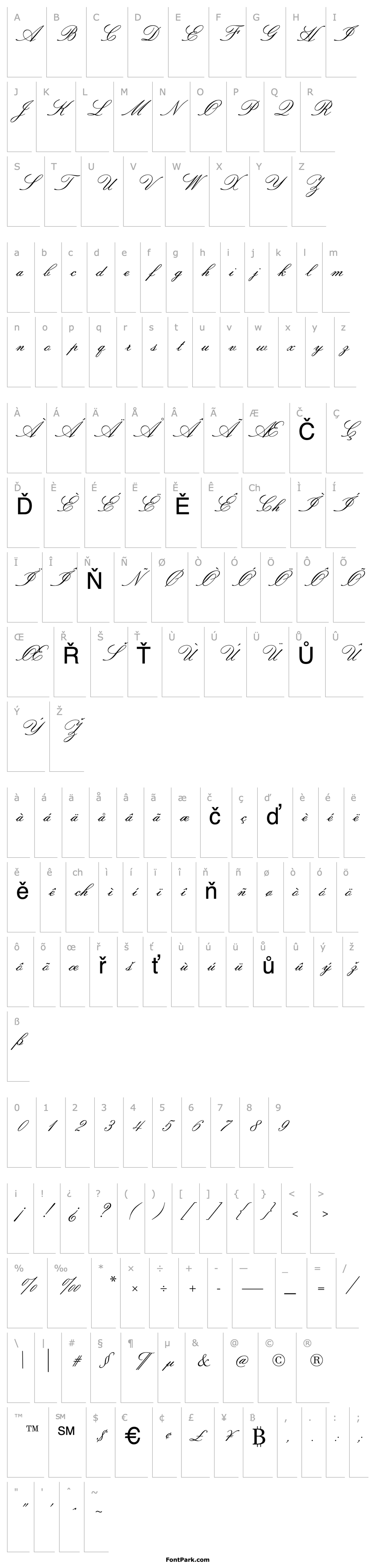 Overview Sackers Italian Script