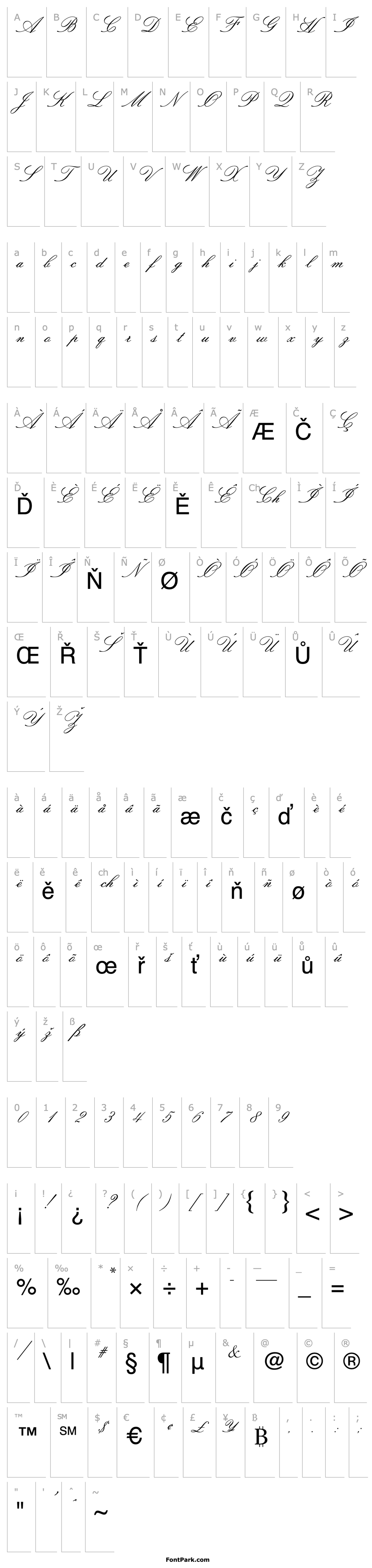 Overview Sackers Italian Script AT