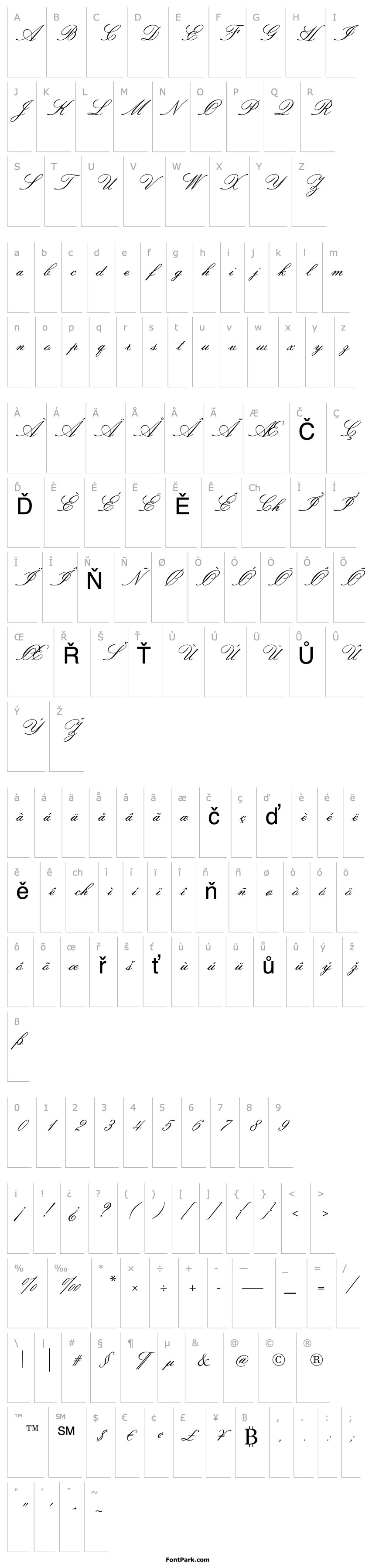 Overview SackersItalianScriptStd