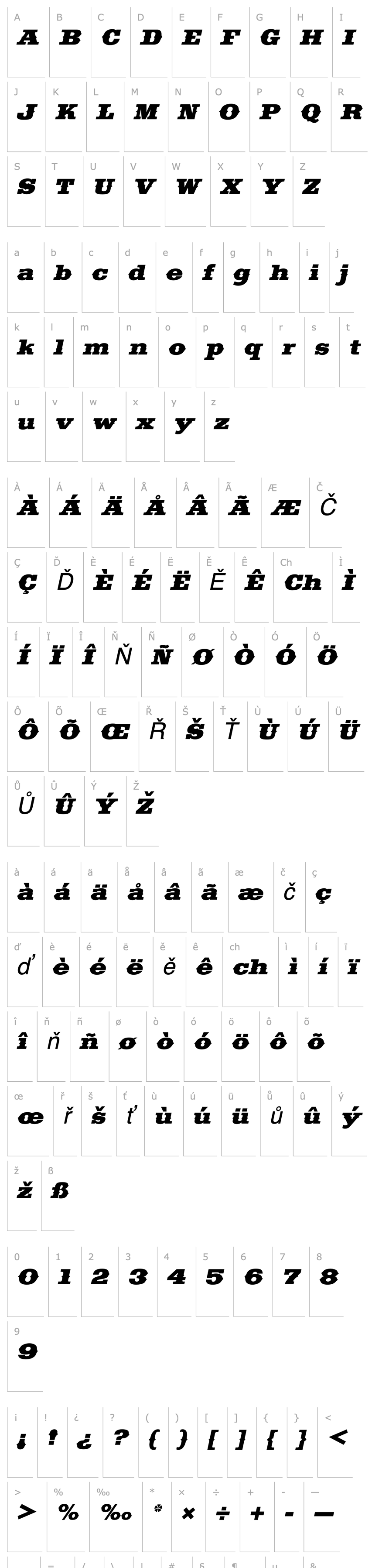 Overview Saddlebag Italic