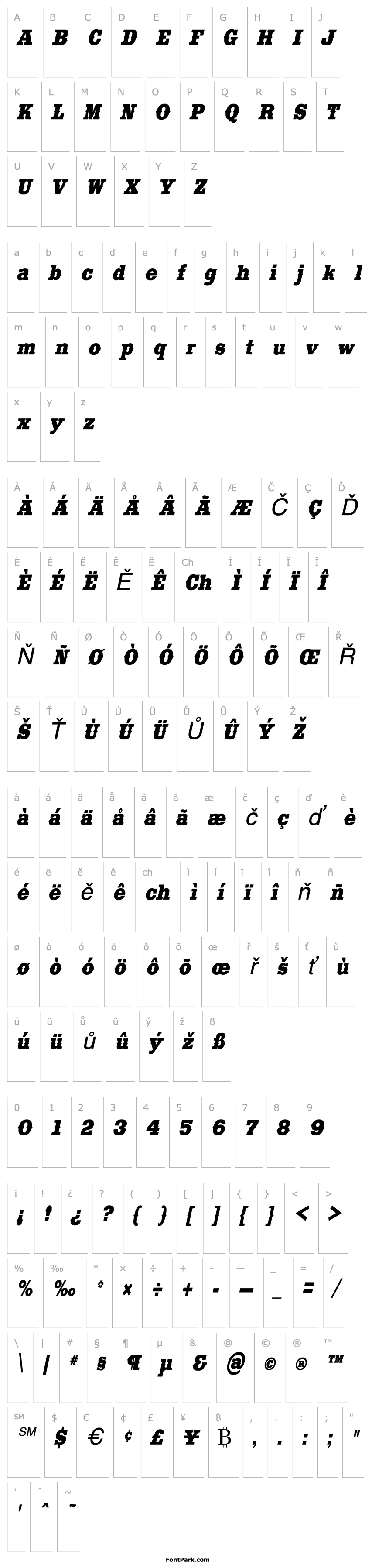 Overview SaddlebagCondensed Italic