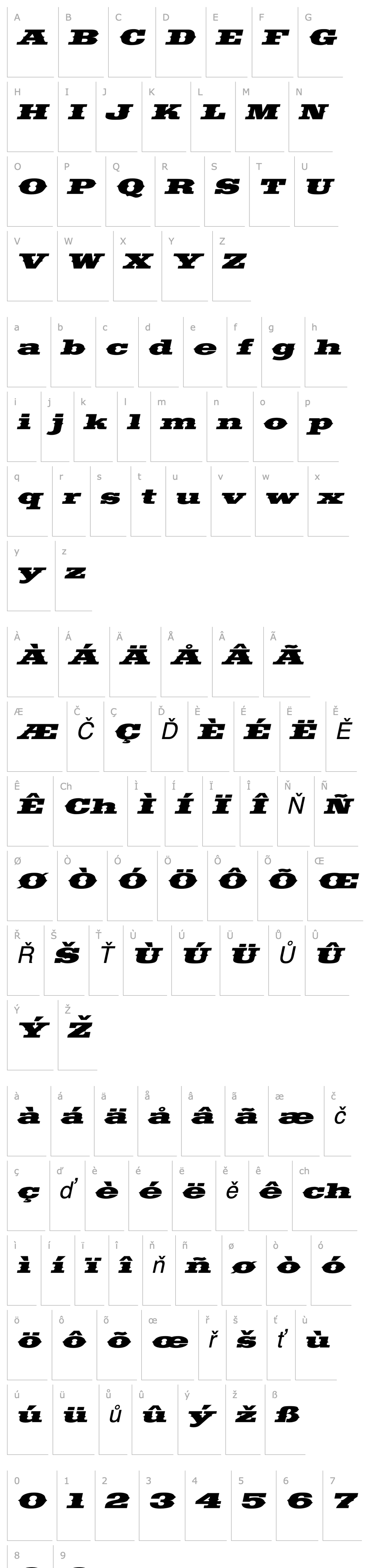 Přehled SaddlebagExtended Italic