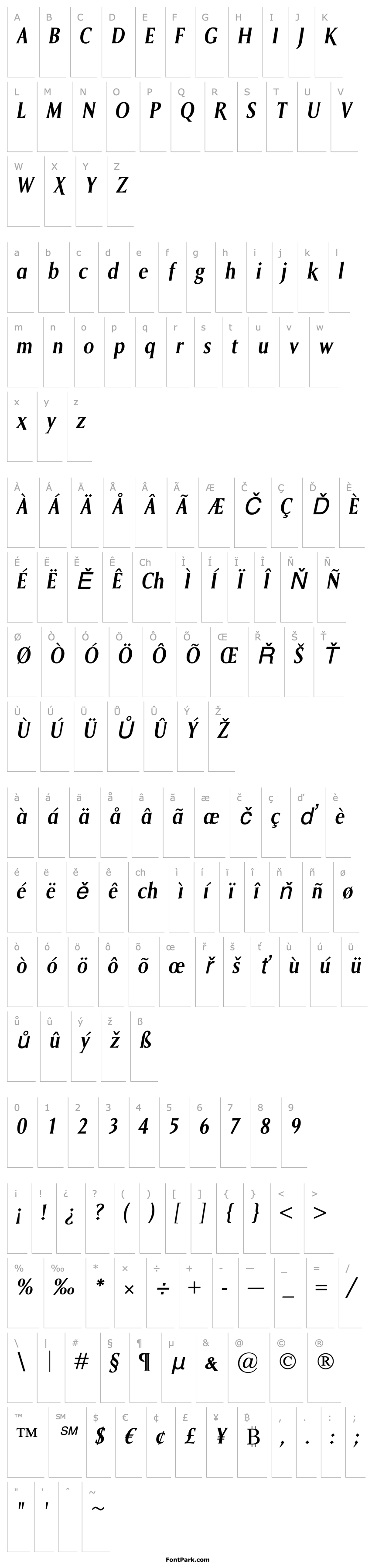 Přehled Saga SemiBold Italic