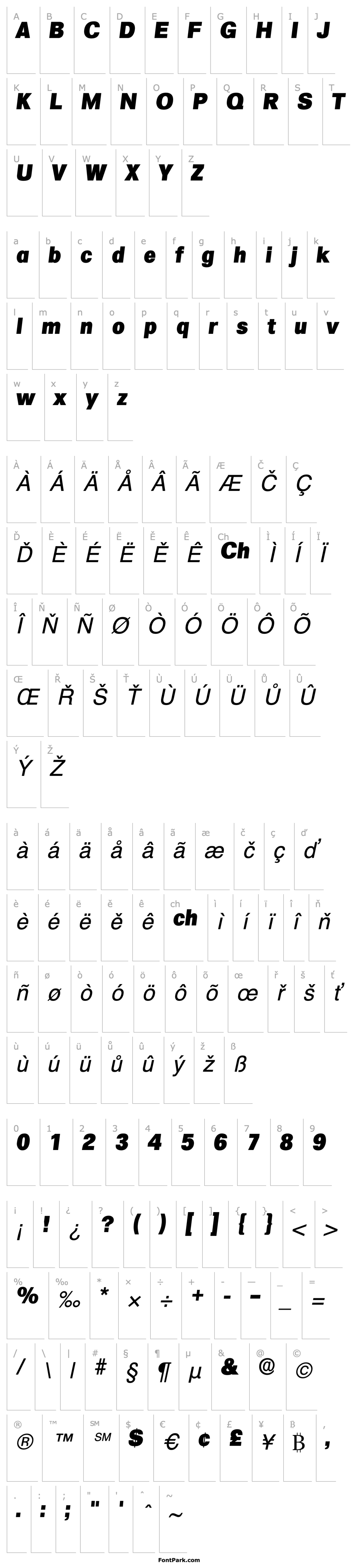 Přehled Salina Display SSi Italic