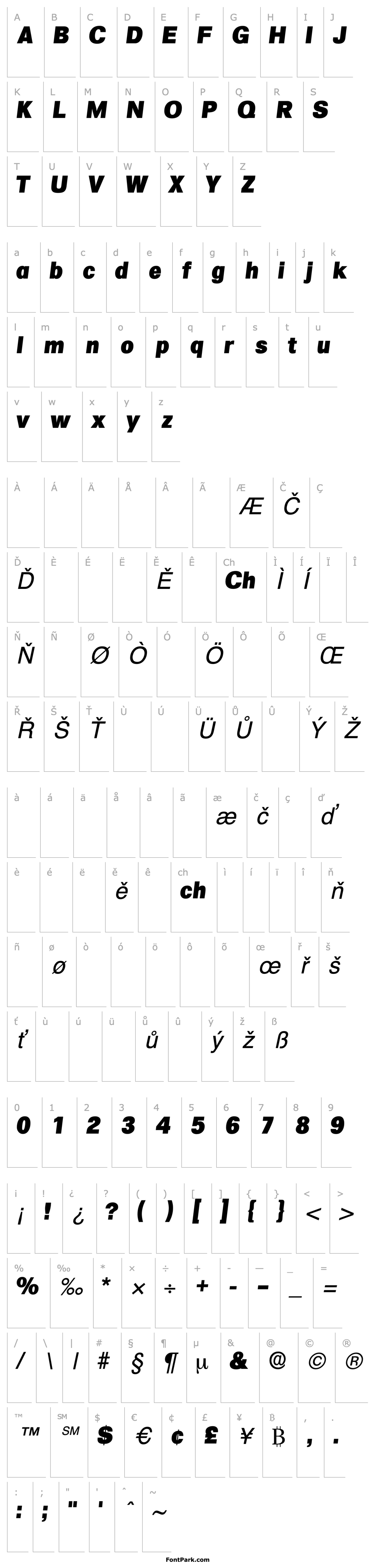 Přehled SalinaDisplaySSK Italic