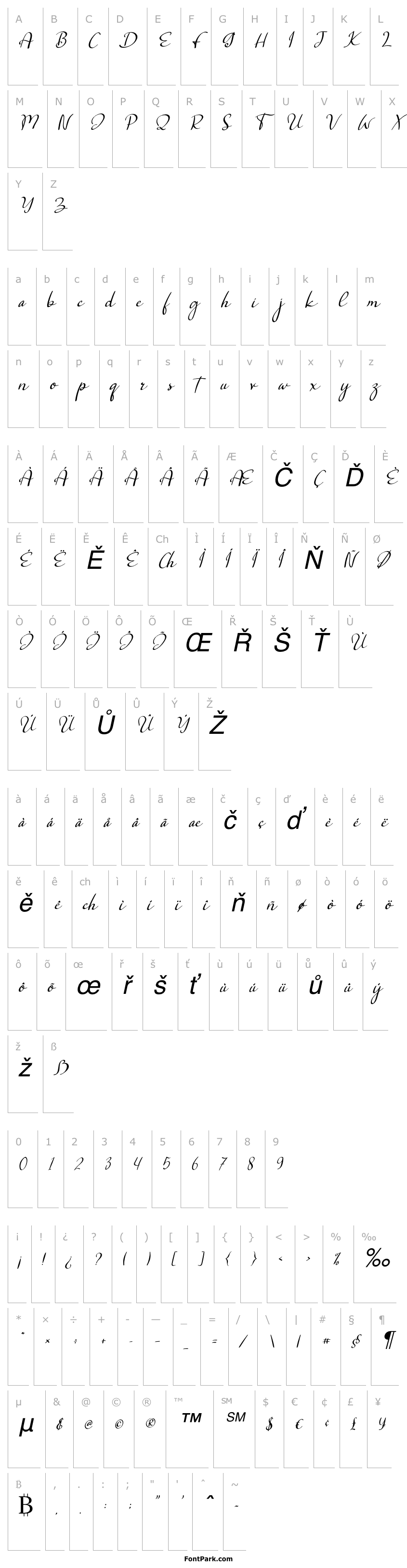 Přehled Salta Italic