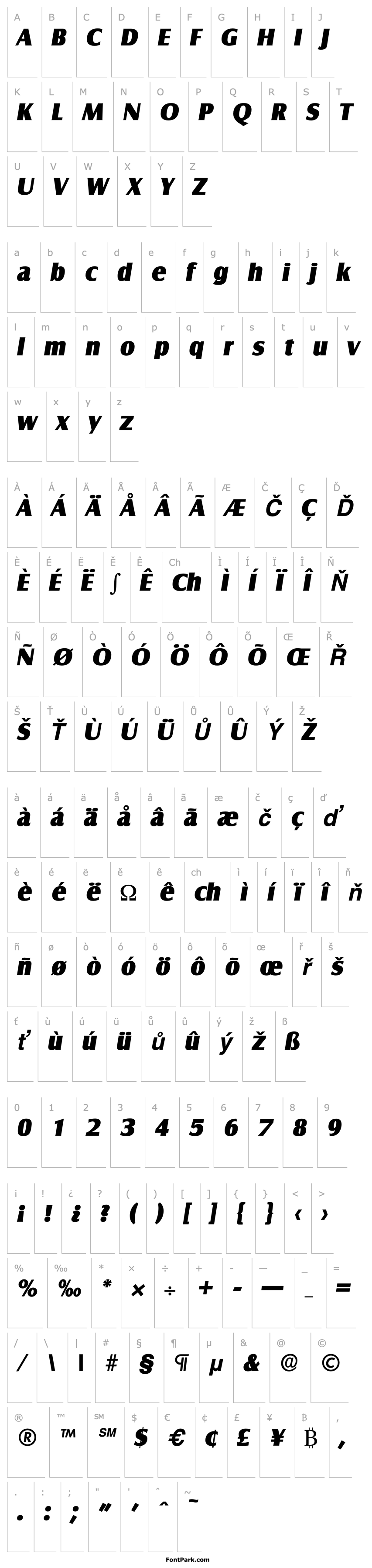 Overview Salzburg-Serial-Heavy-RegularItalic