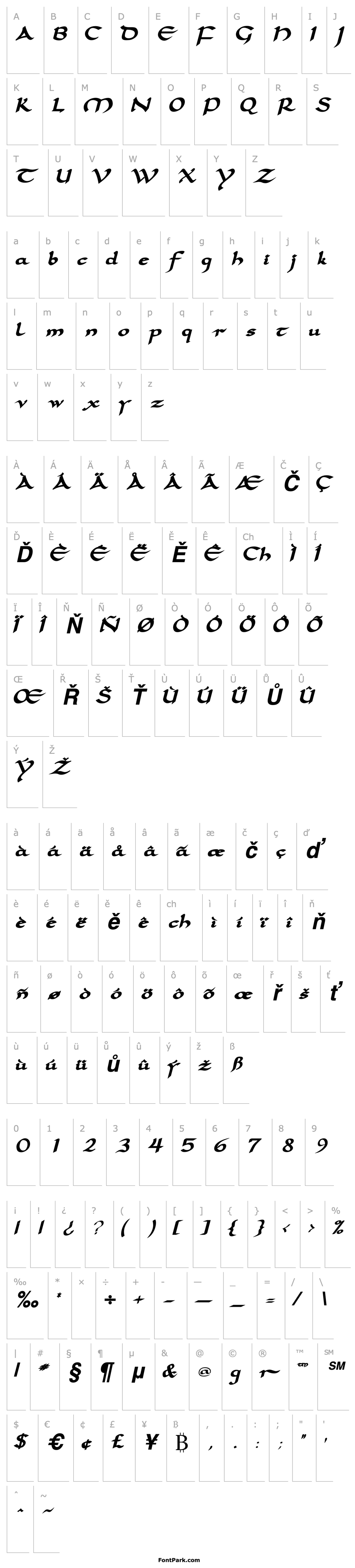 Overview SamovarSSK Bold Italic