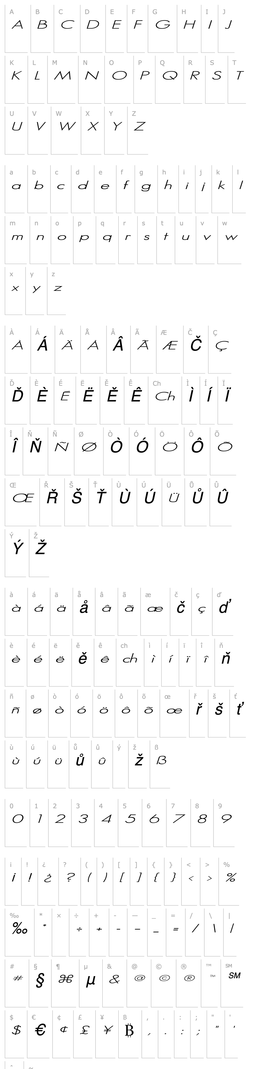 Overview SansSerif Italic