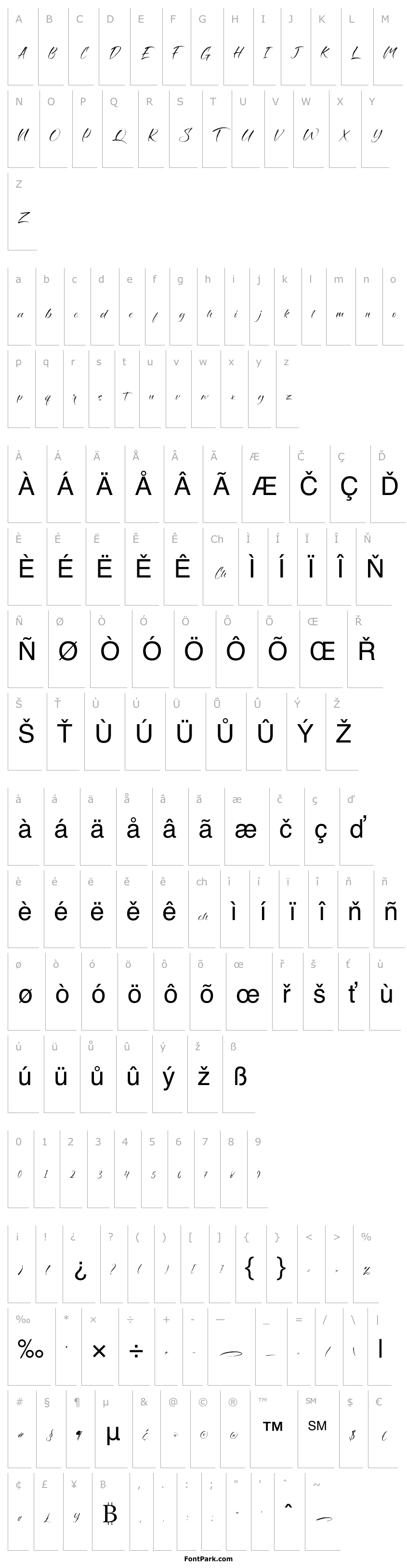 Overview SavageBrush