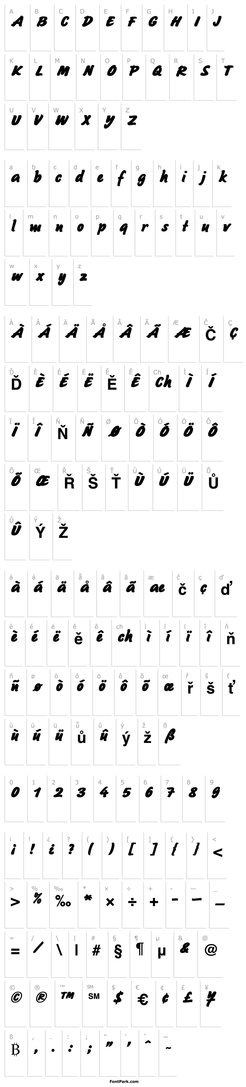 Přehled Sayer Script MN Black