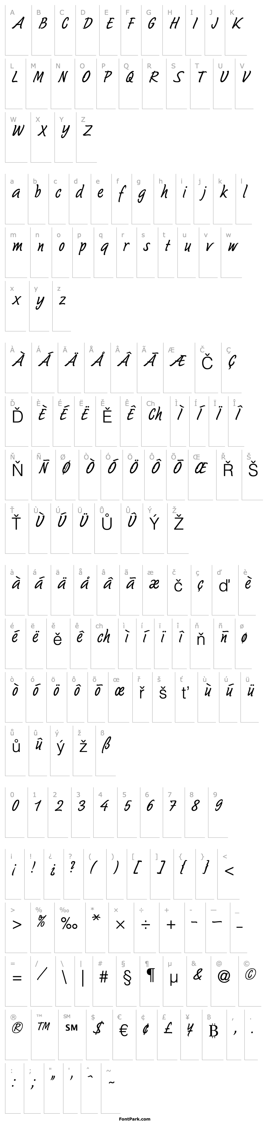 Overview Sayer Script MN Light