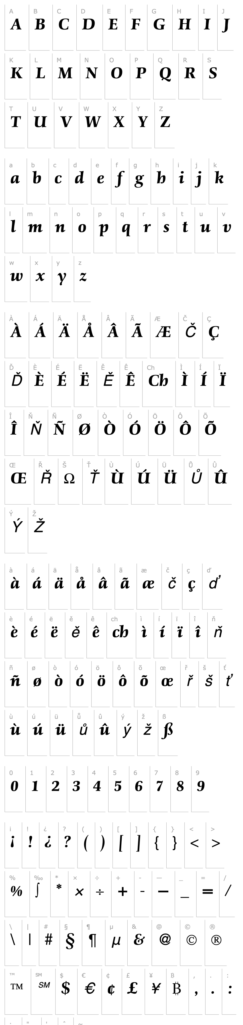 Přehled ScenicHeavy-RegularItalic