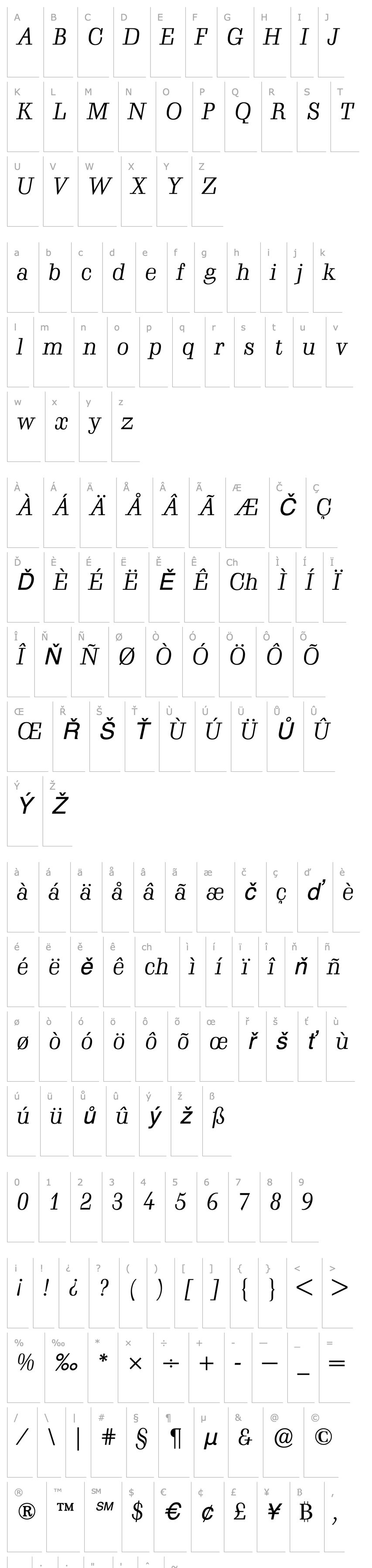 Overview SchadowAntiquaBQ-BookItalic