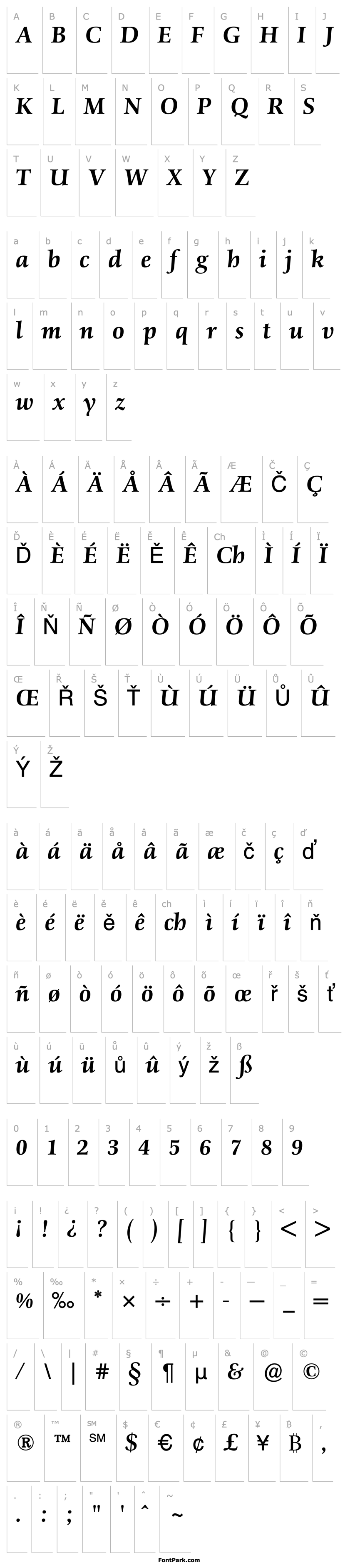 Overview SchneiderAntiquaBQ-MediumItalic