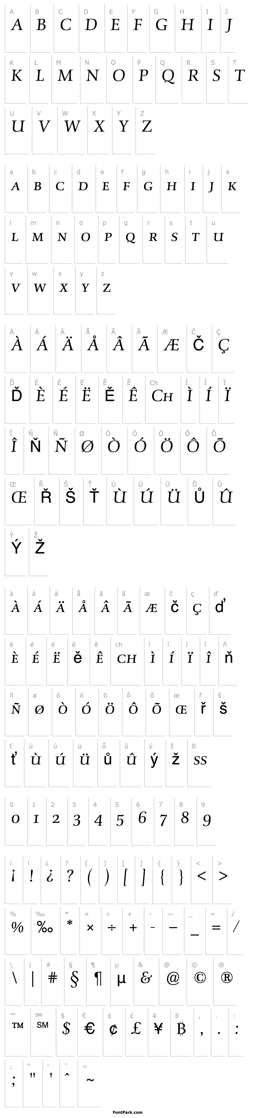 Overview SchneiderAntiquaExpBQ-LightItalic