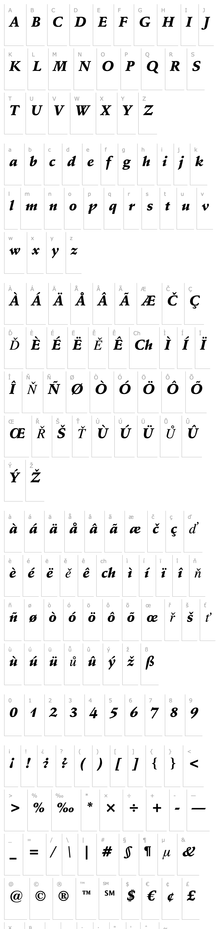 Overview Schneidler Black Italic BT