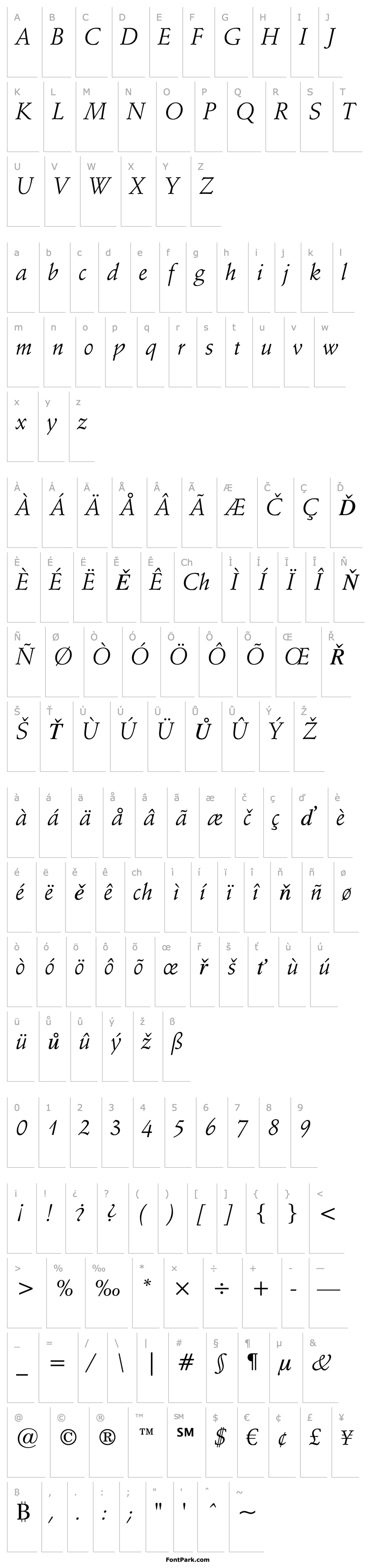 Přehled Schneidler BT Italic