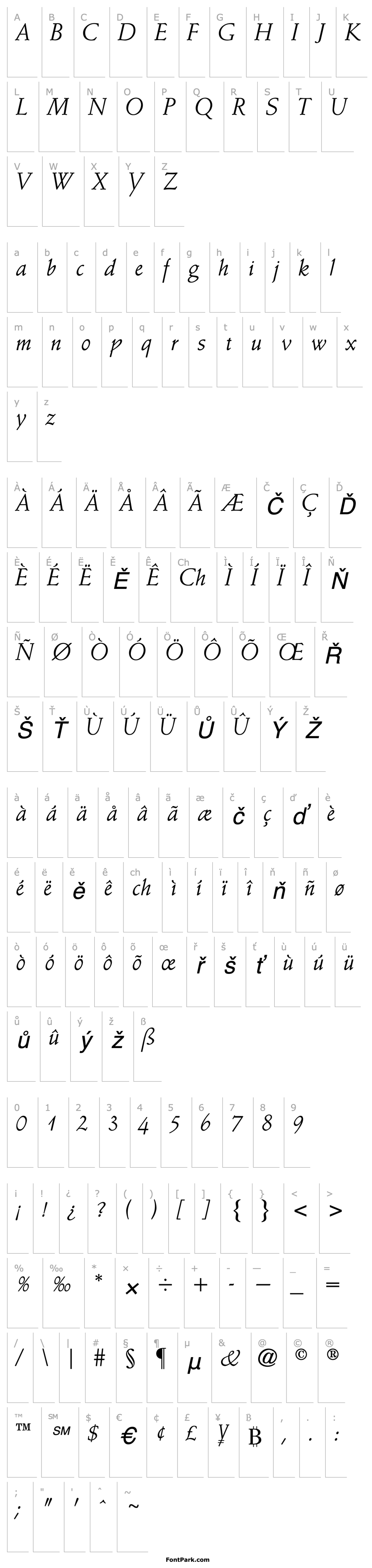 Overview Schneidler CG Italic