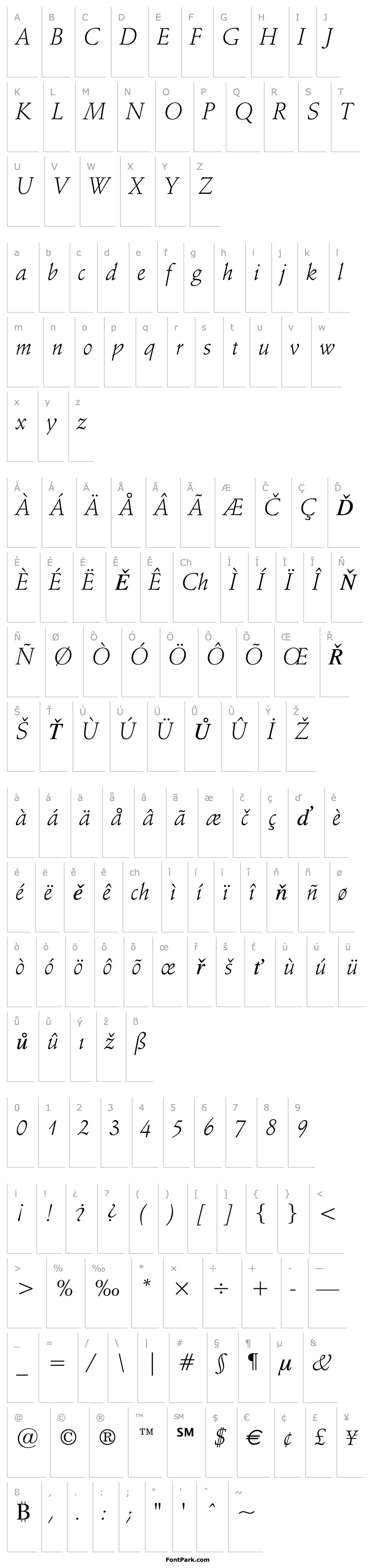 Overview Schneidler Light Italic BT